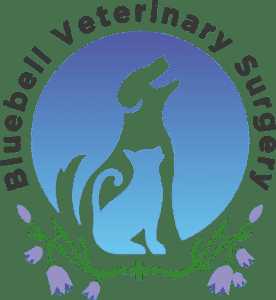 Bluebell Veterinary Surgery