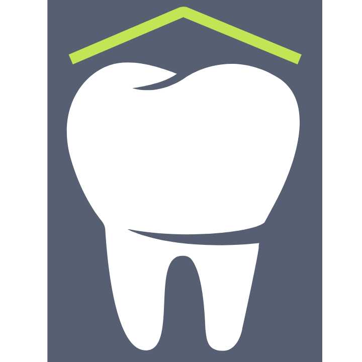 The Roof Dentist