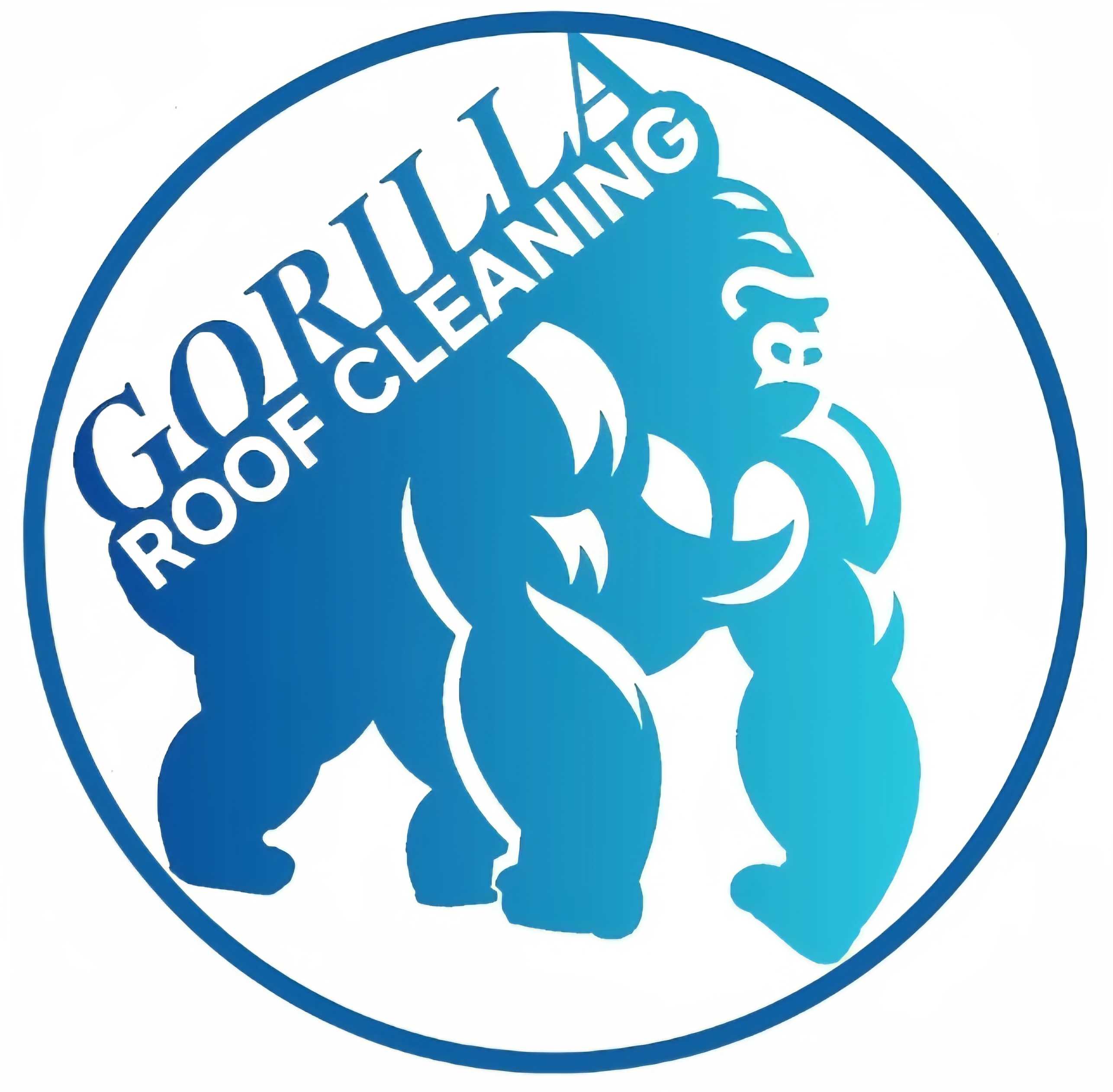 GORILLA Roof Cleaning