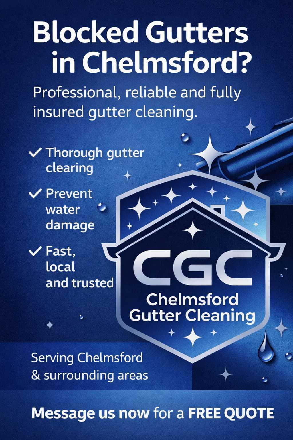 Chelmsford gutter cleaning