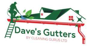 Dave's Gutters